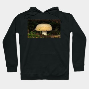 June Amanita Hoodie